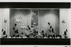 SOkA_Zlin_sbirka_fotografii_zlin_obalka_c._2436_por._c._26